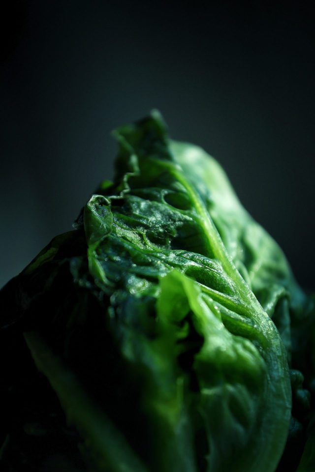 일터 1월호 뒷표지