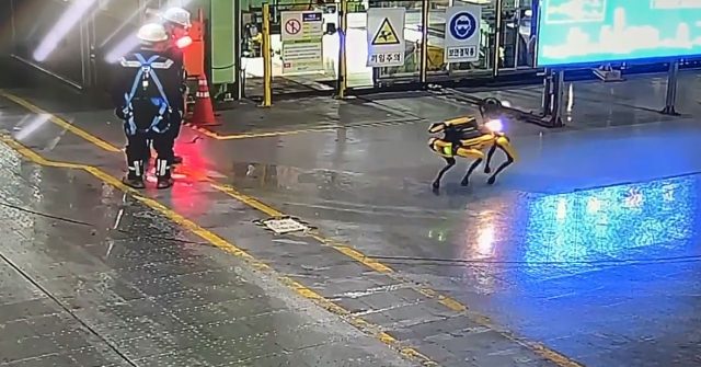 %ed%8a%b9%ec%a7%913_%ec%82%ac%ec%a7%841-2